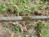 image of grave number 723997